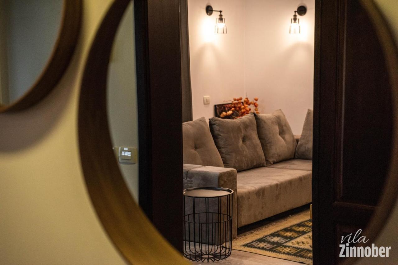 Vila Zinnober Brasov Ngoại thất bức ảnh