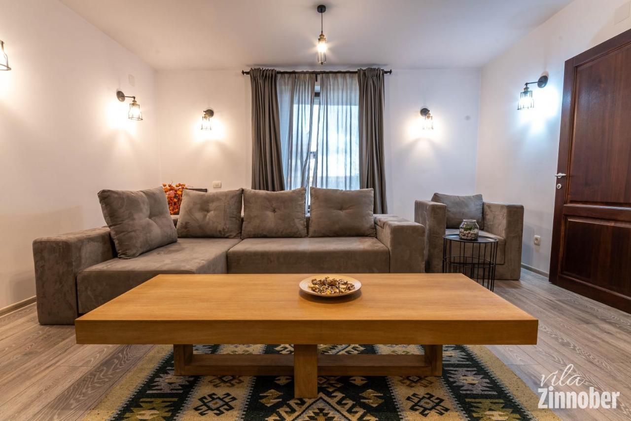 Vila Zinnober Brasov Ngoại thất bức ảnh