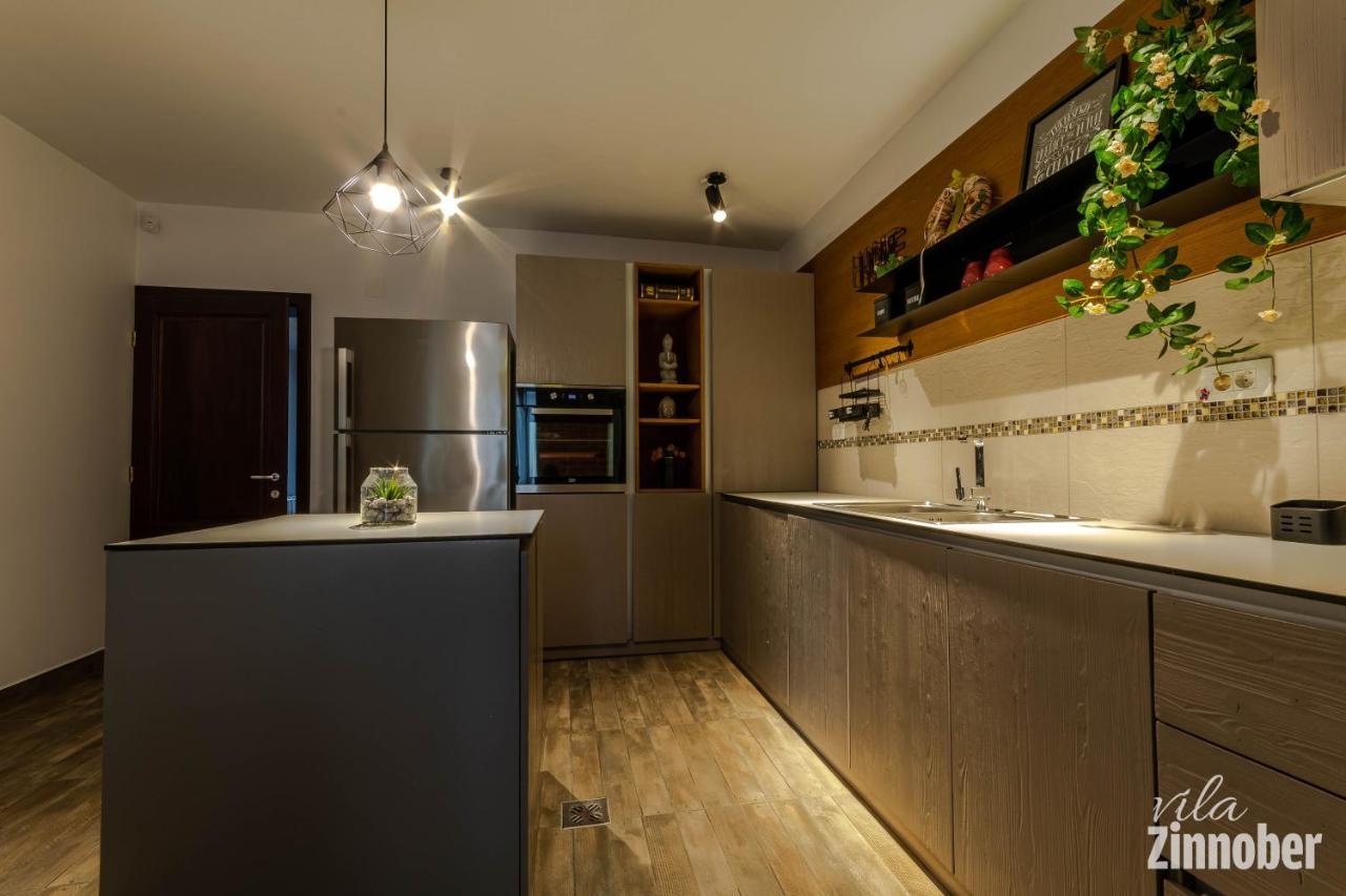 Vila Zinnober Brasov Ngoại thất bức ảnh