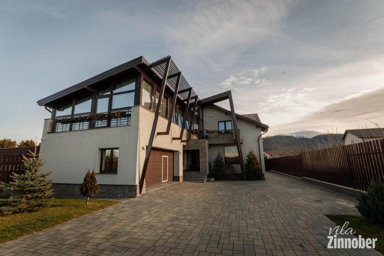 Vila Zinnober Brasov Ngoại thất bức ảnh