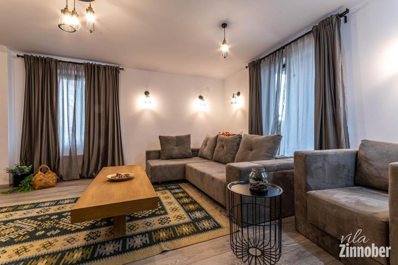 Vila Zinnober Brasov Ngoại thất bức ảnh
