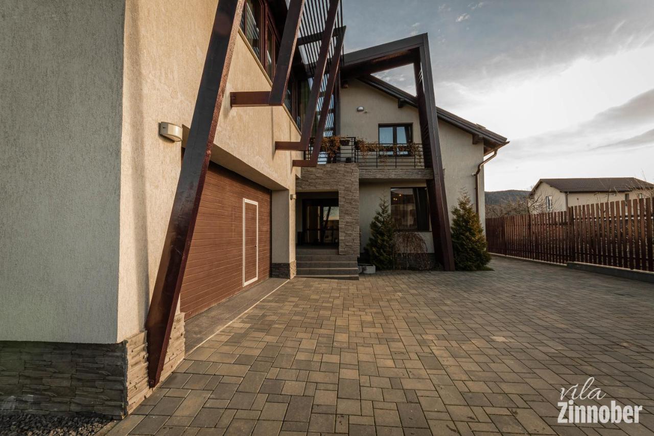 Vila Zinnober Brasov Ngoại thất bức ảnh