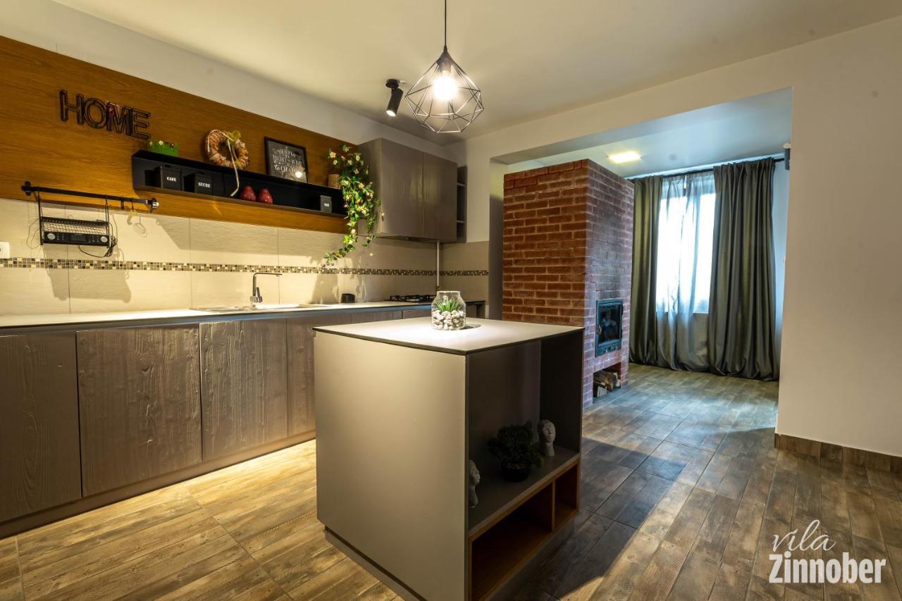Vila Zinnober Brasov Ngoại thất bức ảnh