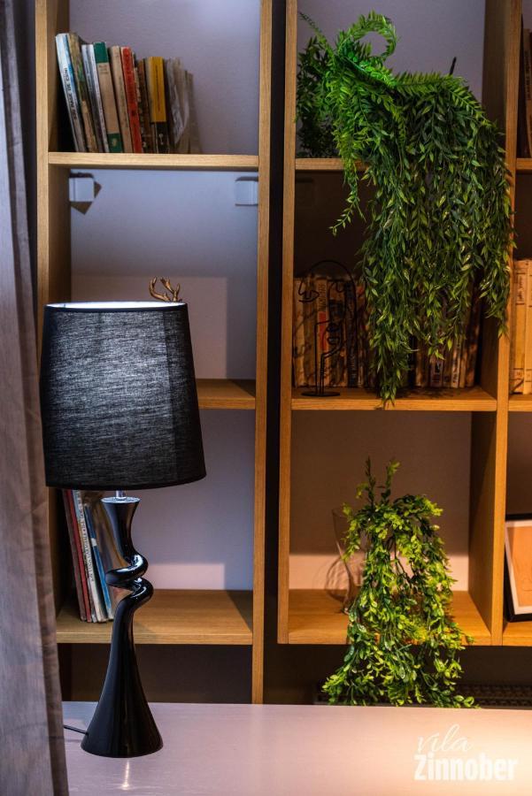 Vila Zinnober Brasov Ngoại thất bức ảnh